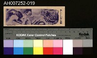 藏品(じをり型學習博物館：誇るべき日本の真珠)的圖片